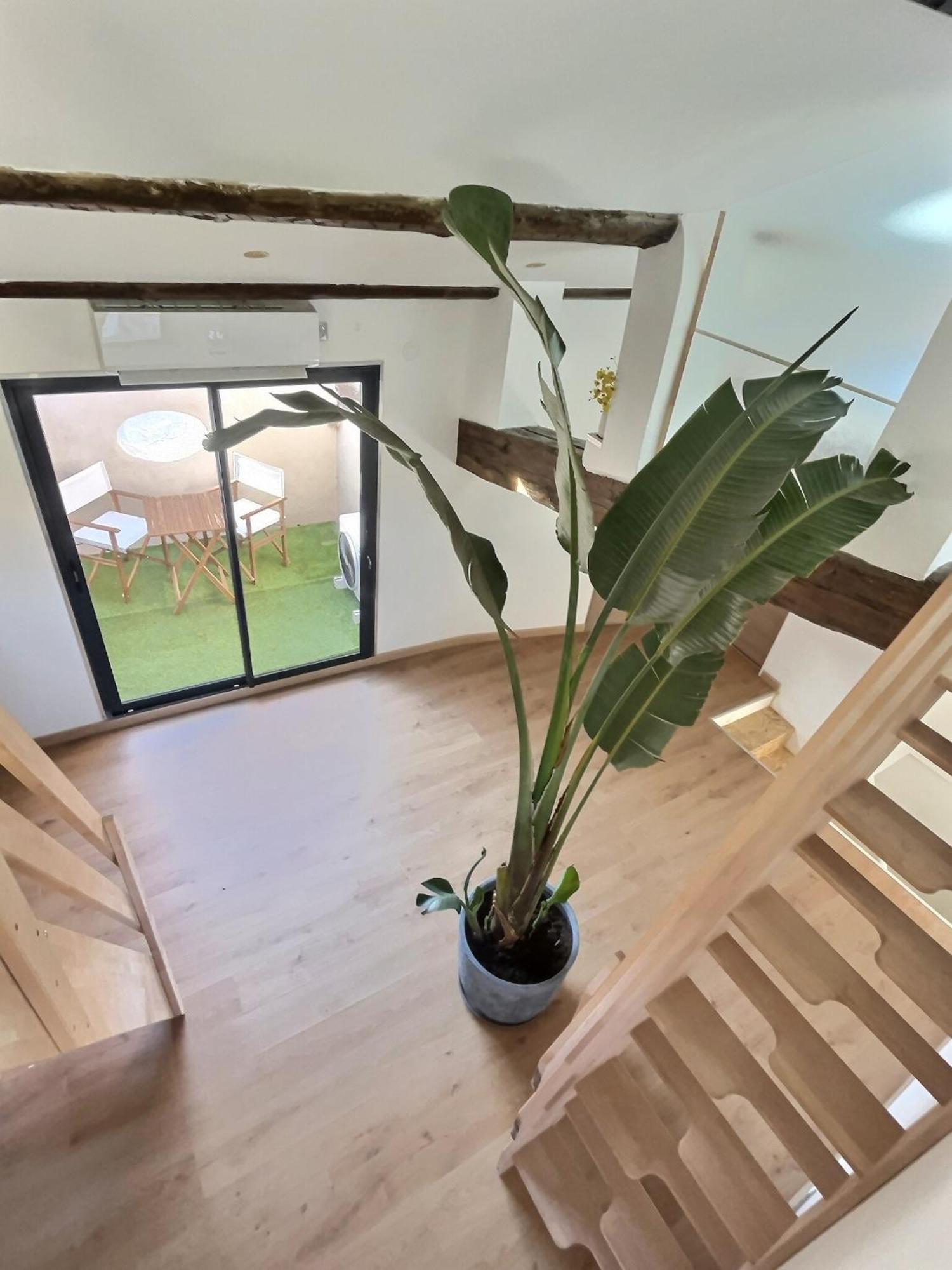 Appartamento Jungle Loft Beziers Centre Esterno foto